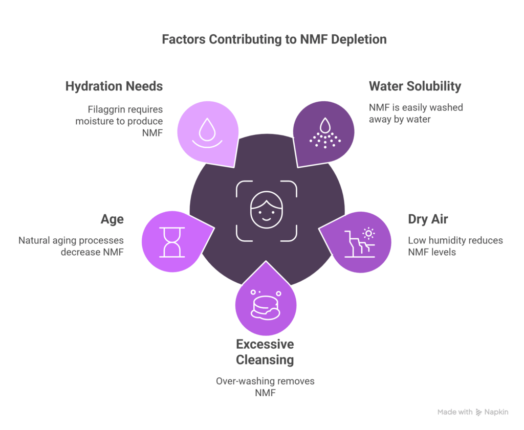 Factors contributing to NMF depletion